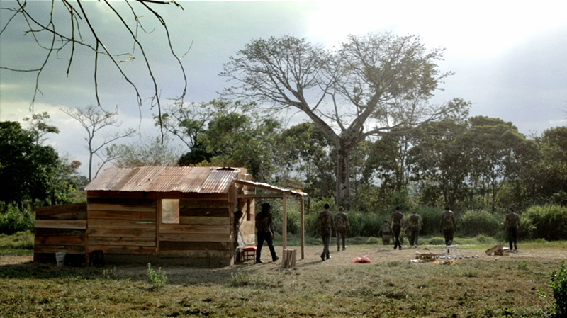 hyenas-02